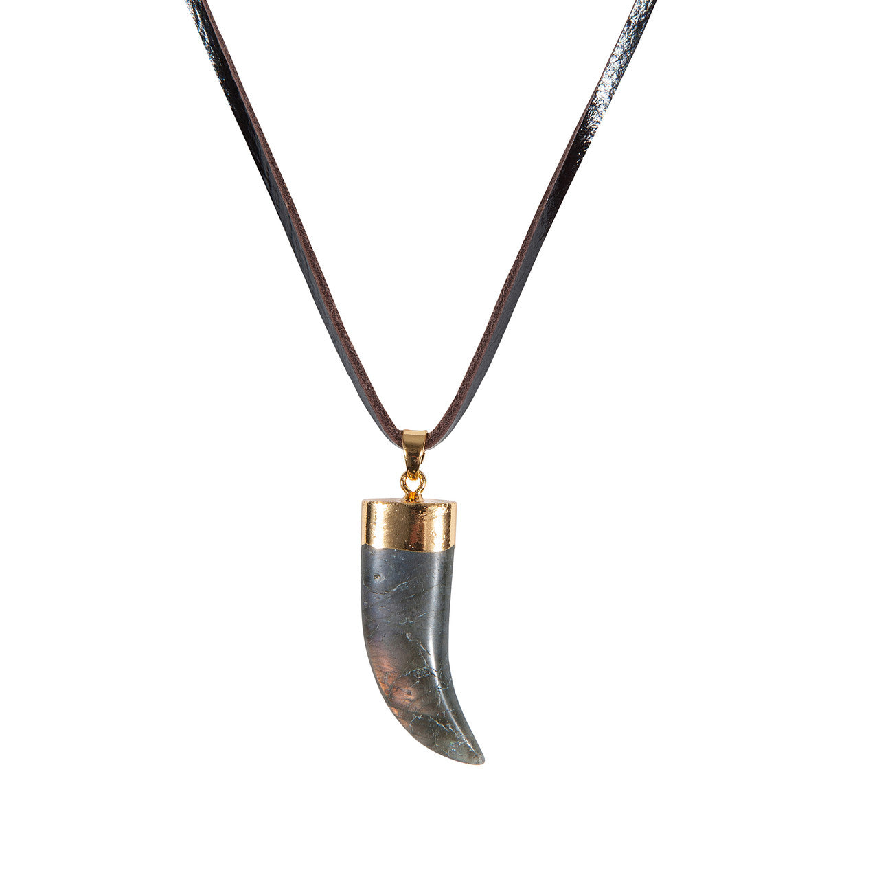 Labradorite Horn Necklace on Leather